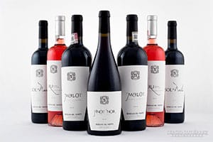 Beverage photography in Mexico
